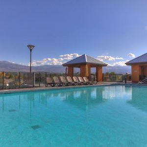 Playa Del Sol Resort - Vacation Rentals